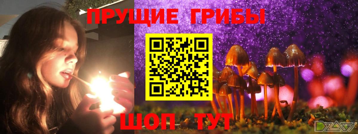 Псилоцибиновые грибы Psilocybine cubensis  Вход с VPN  Новый Уренгой 